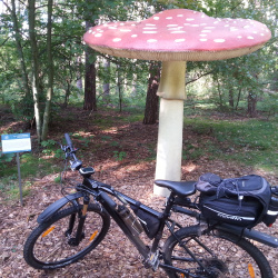 240728-goleniow-bike