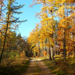 251108-kliniska-goleniow